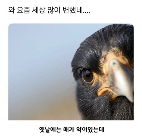 요즘 세상 많이 변했네