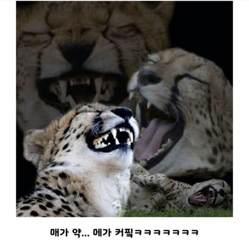 요즘 세상 많이 변했네