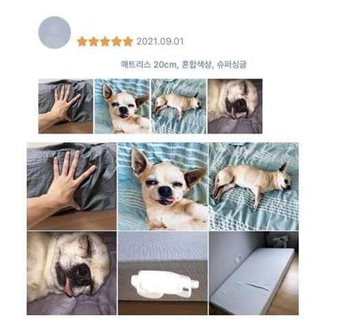 신뢰도 200%