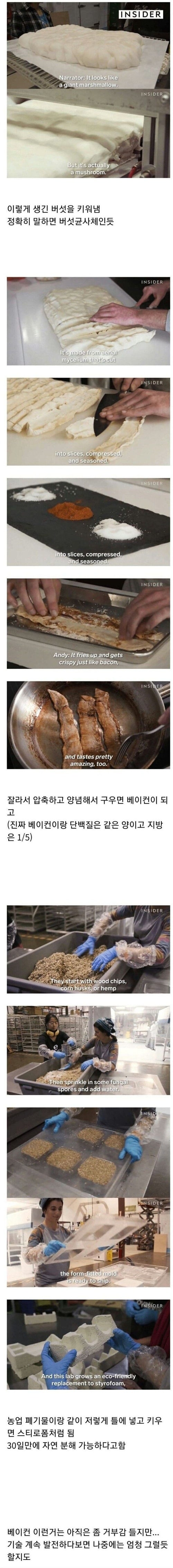 신기술이네요