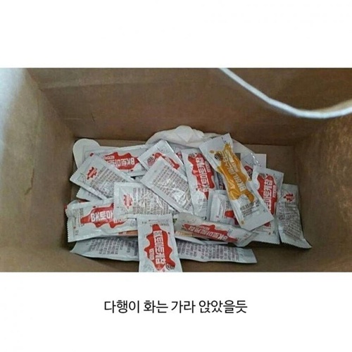 버거킹의 대처