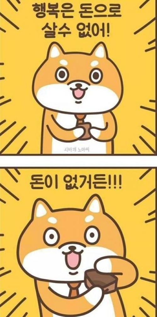 맞지 맞지