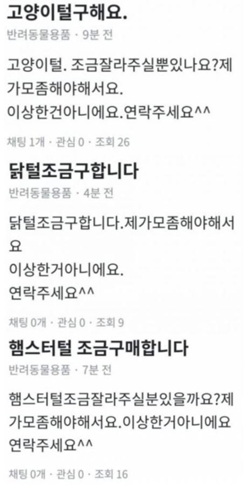 연금술사가 나타난 당근