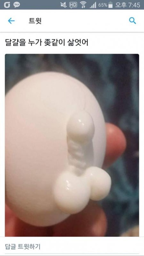 달걀을 삶았다 ㅋ