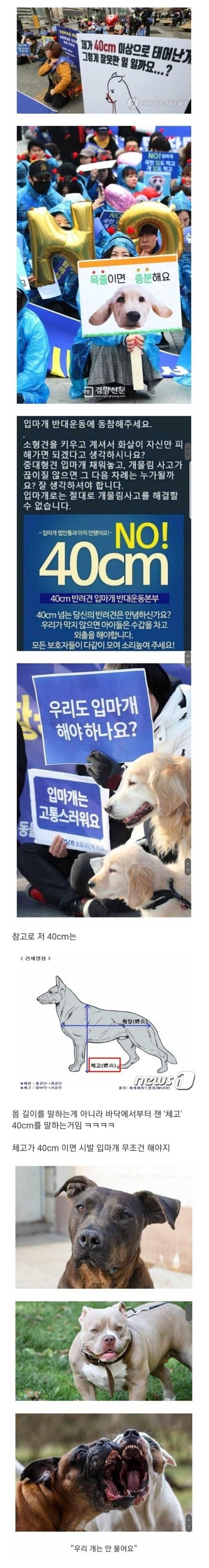 진짜 사람이 문젠듯
