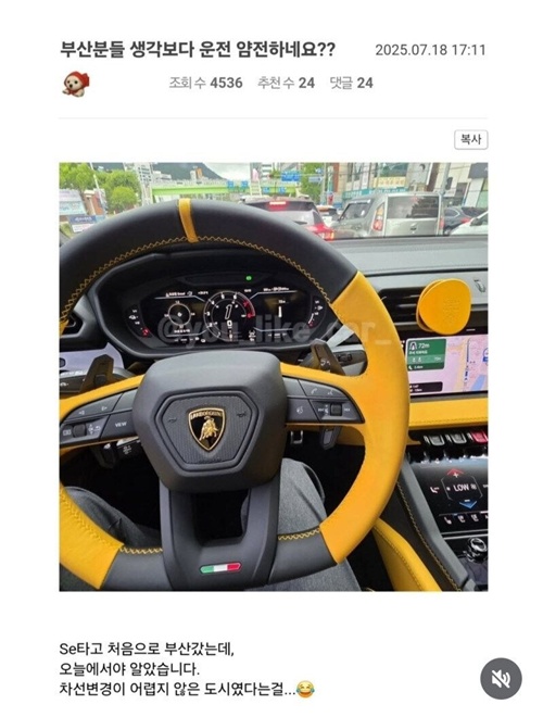 부산놈들도 도로에 황소가 다니면 맥도 못추리는구마잉