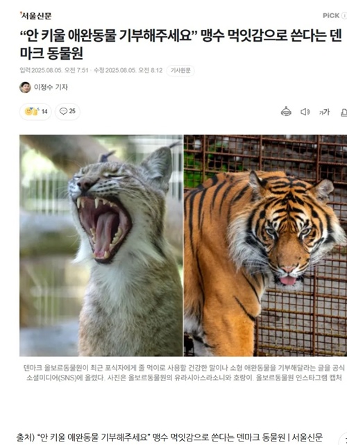 대한민국이였으면 벌써 개난리 났을텐데