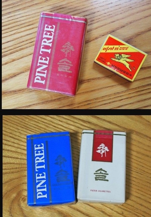 추억돋네