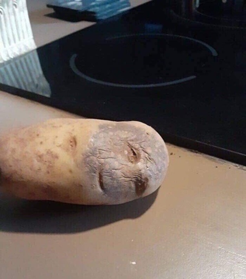 감자 못먹겠다 ㅎ