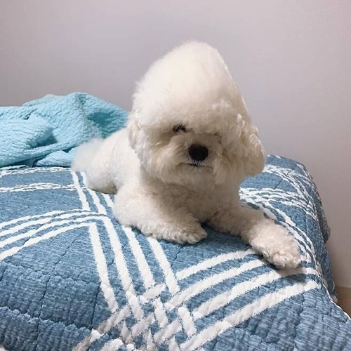 코골고 푹자더라 ㅎ
